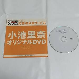 開封済　付録　DVD　小池里奈