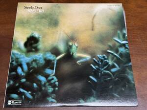 【LPレコード】katy lied/steely dan/うそつきケティ/スティーリー・ダン【日本盤】