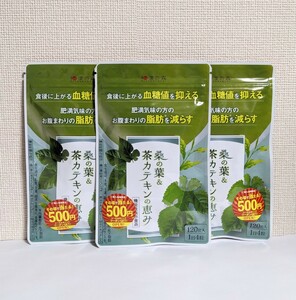 ☆送料無料☆ 桑の葉&茶カテキンの恵み 3ヶ月分（120粒入×3袋）/ 匿名配送 新品未開封 和漢の森 機能性表示食品 脂肪 血糖値 ダイエット