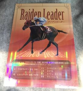 阪神競馬場 「ライデンリーダーの足跡」　ライデンリーダー号オリジナルカード 競馬　JRA ☆