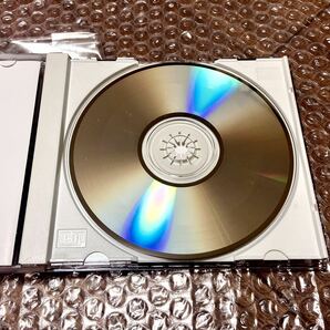タスミン・アーチャー Tasmin Archer 国内プロモ 特製CD 7曲 special japan promo only CD 非売品 1993年 PCD-0358 RARE MIXESの画像7
