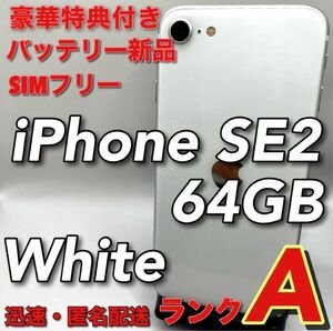 iPhoneSE 第2世代 本体 White 64GB SIMフリー