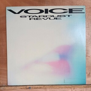 レコード ストレビュー「VOICE」の画像1