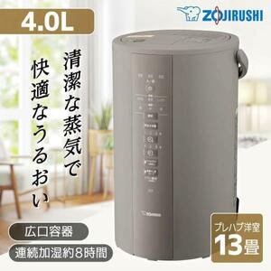 象印スチーム式加湿器 4L 大容量 EE-DD50-HA グレー