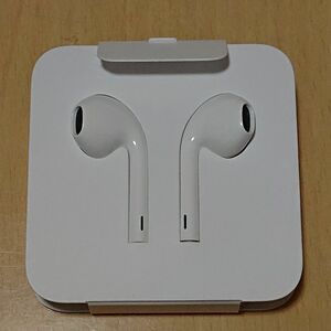 新品 Apple純正 アップル ライトニング イヤホン EarPods Lightning Connector MMTN2J/A