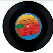 American Standard Band 「Got What It Takes/ You Never Get Over Heartbreak/ Take It Easy On Me」米国ISLAND盤プロモ用EPレコード_画像2
