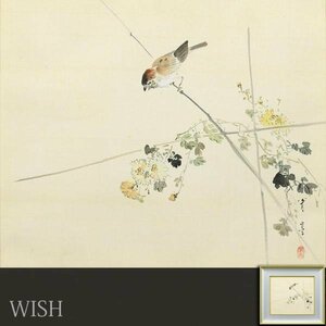 【真作】【WISH】渡辺省亭「菊に雀」日本画 約6号 絹本 ◆花鳥図逸品 　　〇花鳥画巨匠 菊池容斎門 パリ万博受賞 欧米高評価 #24023790