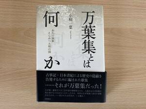 万葉集とは何か　永久の挽歌・そらみつ大和の国 小椋一葉／著