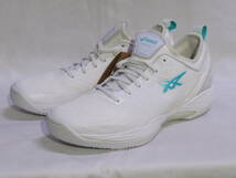 498　アシックス(asics) GLIDE NOVA FF 2　25.0_画像1