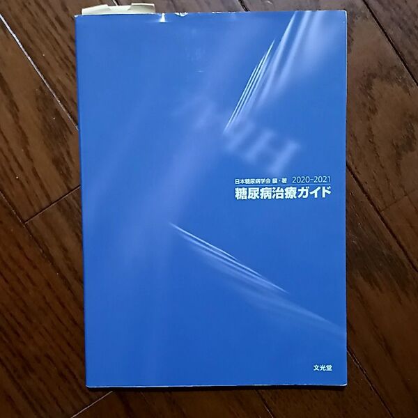 糖尿病治療ガイド ２０２０－２０２１