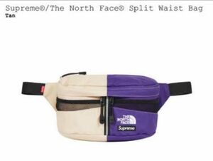 Supreme The North Face Split Waist Bag