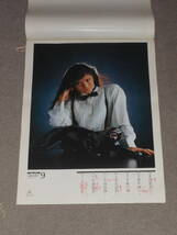 松田聖子,東映,1982年,カレンダー,ポスター,2枚,赤いスイトピー,青い珊瑚礁,あなたに逢いたくて,菅原文太,志穂美悦子,千葉真一,真田広之_画像6