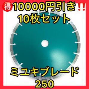 破格10000円引き10枚セット!ミユキダイヤモンドブレード250長持ちタイプ