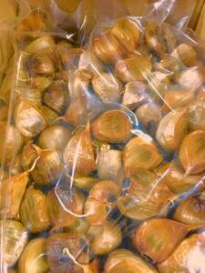 Aomori prefecture production .. black garlic 1kg free shipping 