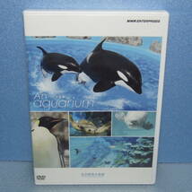 DVD「名古屋港水族館 NHK DVD an aquarium 水族館」_画像1