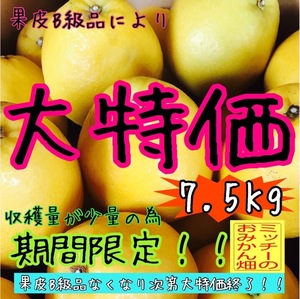 【四国 九州 本州のお客様用】 【えひめ産】《訳あり》みかん柑橘ミカンかわちばんかん 《河内晩柑》　　