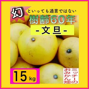 【四国 九州 本州のお客様用】 《訳あり》ぶんたん土佐文旦フルーツ果物くだもの果実みかん柑橘《文旦／えひめ産》の画像1