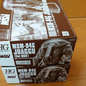 HGUC MSM-04G ジュアッグ Ver.MSV プレミアムバンダイ限定 （1/144スケール 機動戦士ガンダム MSV）