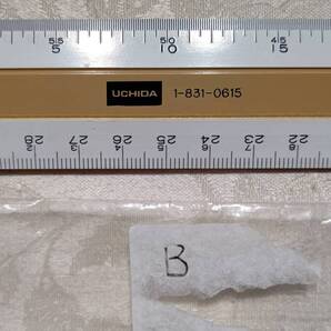 B 廃番 内田洋行 1-831-0615 直線定規 30cm(1/1cm 1/2cm 1/5cm 1/15cm)