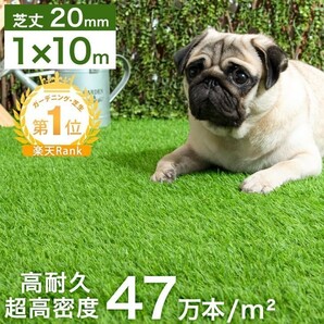 【送料無料】タンスのゲン 人工芝 高耐久 高密度 1m×10m 芝丈20mm 人工芝生 芝生 マット 芝 ロール式 U字ピン24本セットの画像2