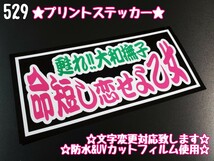 529【送料無料】☆命短し恋せよ乙女☆ステッカー シール 工具箱 車 デコトラ トラック 右翼 街宣車 暴走族 プレート ★文字変更対応可★_画像1