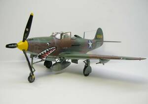 アメリカ陸軍　P-39 エアラコブラ戦闘機　1/48　塗装済み完成品