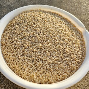 10キロ 鳥エサ 米 玄米 くず米 