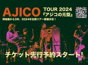 AJICO 日比谷野音 3/30【チケット】3/29時間指定ヤマト着払発送