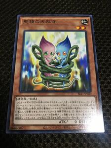 遊戯王 個数9 聖種の天双芽（サンシード・ツイン） ノーマル SELECTION10 セレクションテン