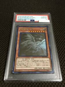 遊戯王 PSA10 現存362枚 青眼の亜白龍（ブルーアイズ・オルタナティブ・ホワイト・ドラゴン） ホログラフィック（ホロ） B