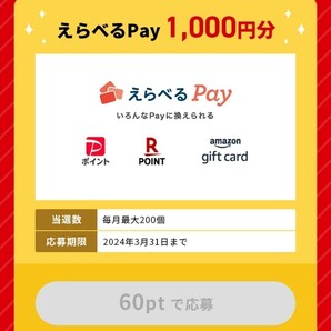 ■懸賞2種■個数2■味の素ギョーザマイレージ／冷凍食品キャンペーン■えらべるpay1000円■Amazonアマゾンギフト券5000円■レシート懸賞■の画像3