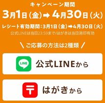 ■個数2■1口分レシート■かどや製油 かどやのごま油100%こだわりキャンペーン■抱き枕／折り畳み傘／今治ハンドタオル当選■懸賞応募■_画像6