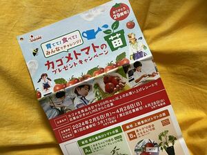 懸賞応募■カゴメ■育てて!食べて!みんなでチャレンジ! カゴメトマトの苗プレゼントキャンペーン【レシート 1口分】専用応募ハガキあり