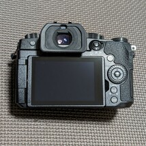 LUMIX G99 DC-G99 ボディ おまけバッテリー付き_画像2