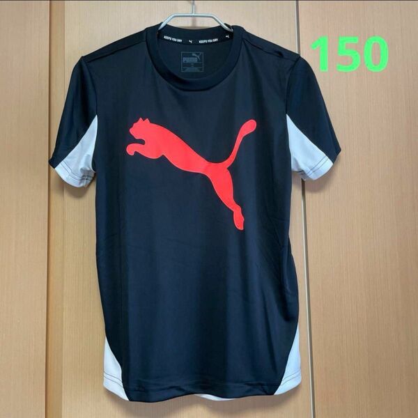 PUMA プーマ 半袖Tシャツ　150