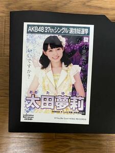 NMB48 太田夢莉 写真 劇場盤 AKB ラブラドール レトリバー