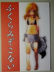 e2古本【同人誌】東方プロジェクト ・ ふくらみぞこない / 赤色バニラ くま