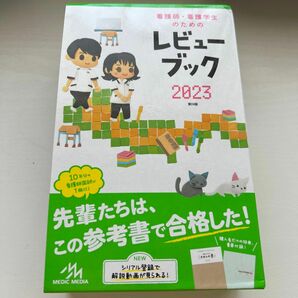 看護師・看護学生のためのレビューブック （第２４版） 岡庭豊／編集