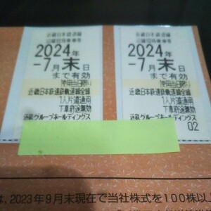 近鉄電車　株主優待　乗車券２枚　2024年7月末日　送料無料（ミニレター）