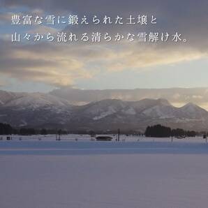 訳あり 新米 ヒメノモチ 令和5年産 もち米 30kg 送料無料 山形県産 精米無料 米 お米 10kg 20kg も販売中の画像10