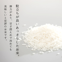 米 10kg 5kg×2袋 はえぬき 山形県産 新米 お米 送料無料 玄米 白米 令和5年産 精米無料 一等米 30kg 20kg も販売中_画像3