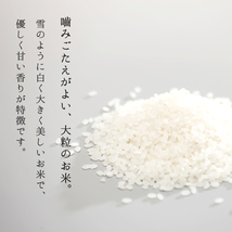 雪若丸 20kg 山形県産 送料無料 玄米 白米 新米 令和5年産 精米無料 一等米 米 お米 10kg 30kg も販売中_画像4