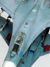 1/144　スホーイSu27フランカー　リペイント ディテールアップ完成品　エフトイズ　WTM　WKC_画像9