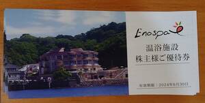 飯田グループ 江の島アイランドスパ株主優待券 4枚 エノスパ