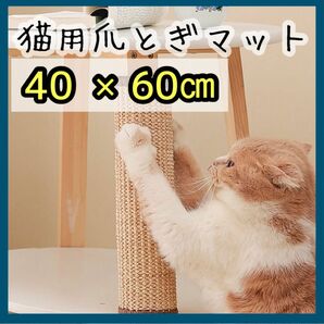 猫用 爪とぎマット つめとぎ 40×60cm ストレス ごはんマット