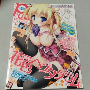 月刊　PUSH!! プッシュ！！2012.11　CD-ROM 動作未確認