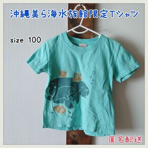 沖縄美ら海水族館【100】Tシャツ