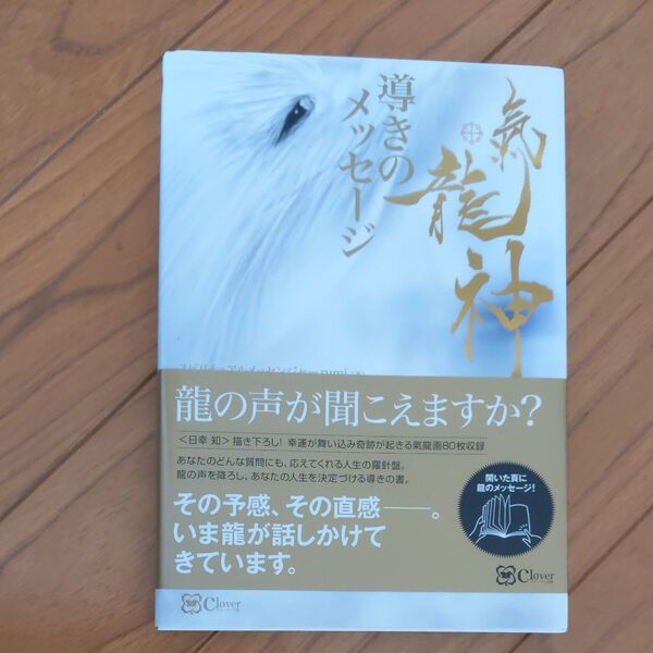 氣龍神導きのメッセージ ｒｕｍｉ／著　日幸知／画