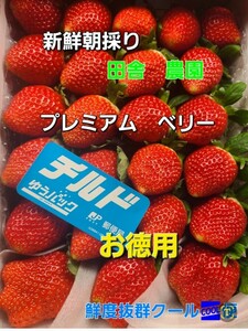 当店のみ☆三冠王No.1　佐賀産地　プレミアム～ベリー　最速発送→鮮度にこだわる☆3～4L大玉☆佐賀イチゴ★他にも出品してます～