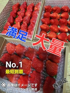 特典★とく特大量～約3パック入り☆【タイムセールやっちゃいます】プレミアム　ベリ～農園直送★最速お届け《約3～4L玉》絶対新鮮!